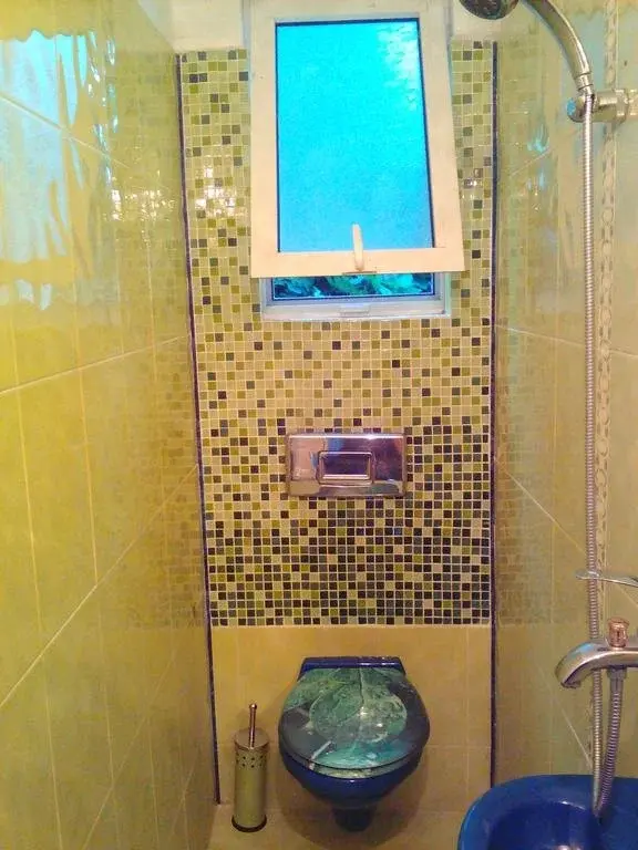 Созополь: Guest House Denitza