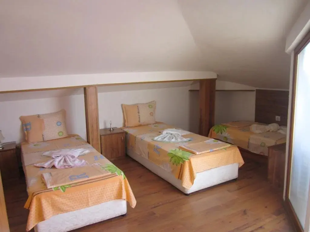 Созополь: Guest House Skamnia