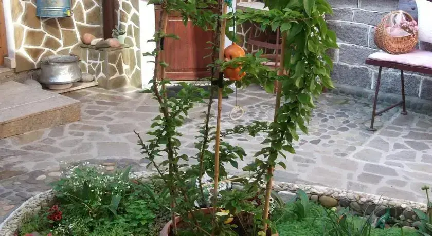 Созополь: Guest House Plavas