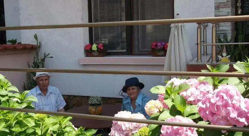 Созополь: Guest House Plavas
