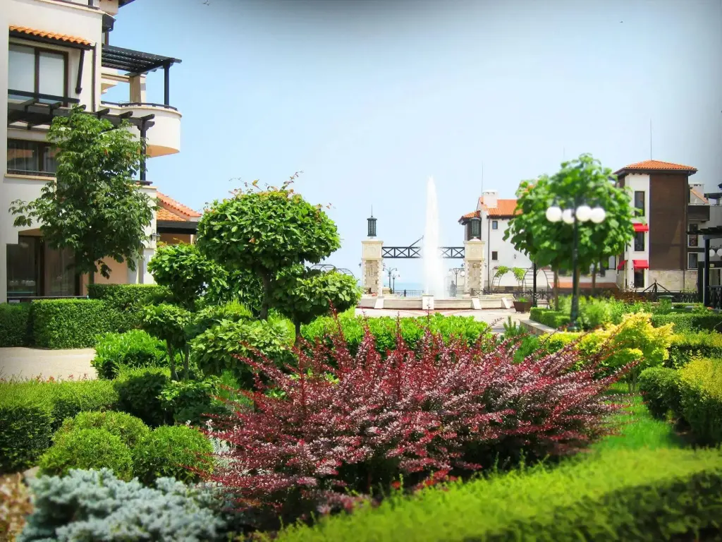 Лозенец: Oasis Resort & SPA