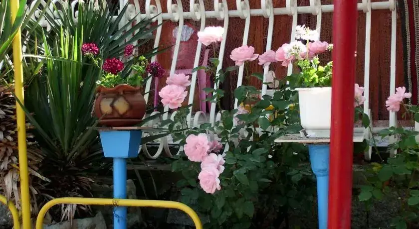 Созополь: Smile Bungalow