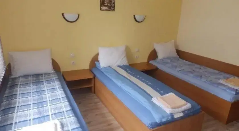 Видин: Mix Hotel