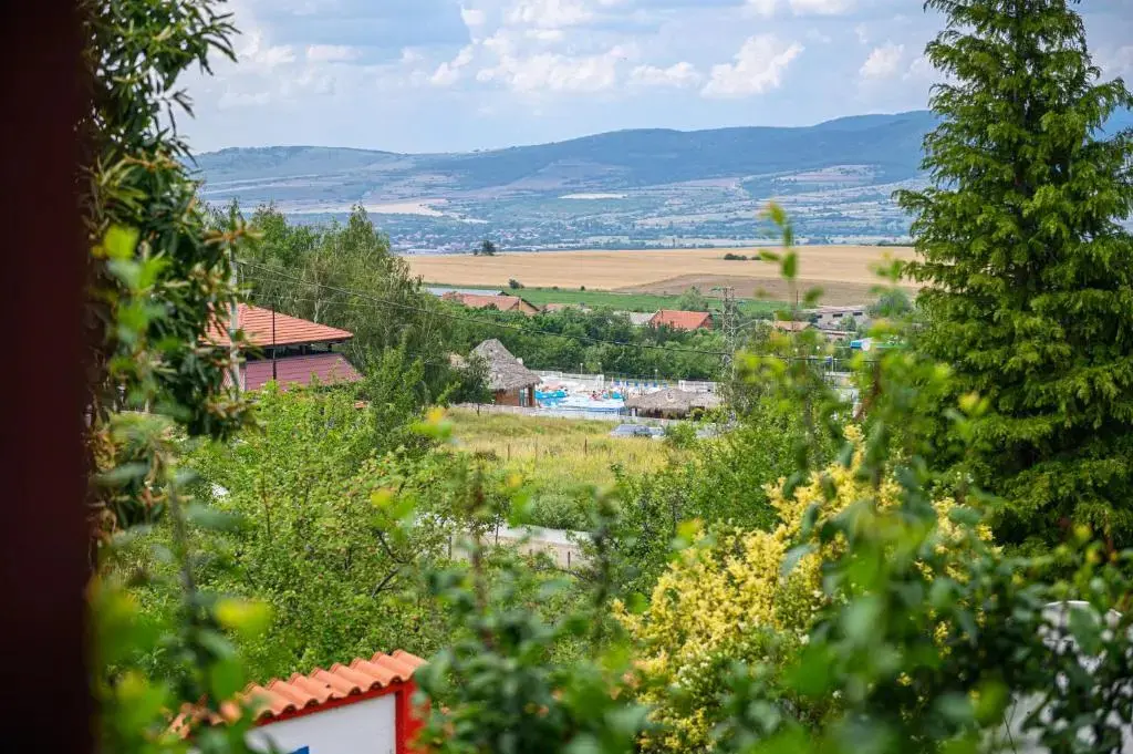 Сапарева баня: Medi Guest House