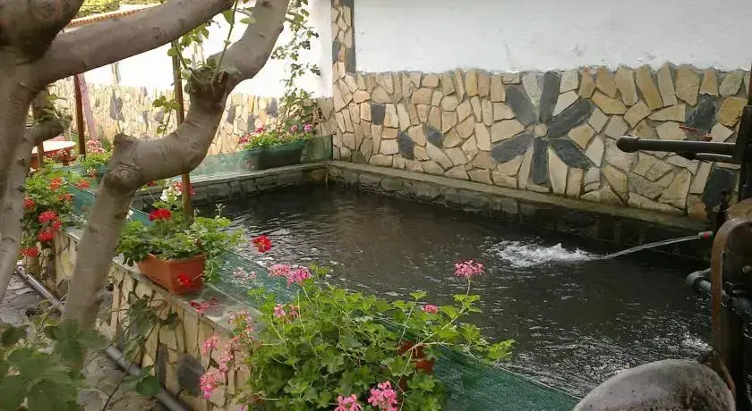 Сапарева баня: Medi Guest House