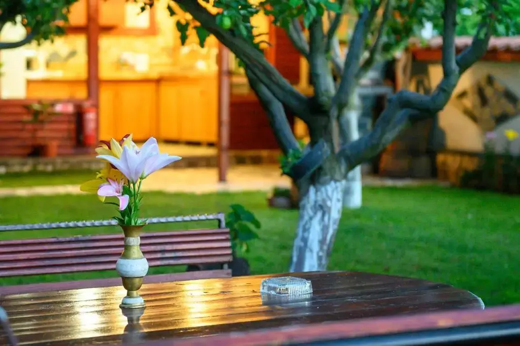 Сапарева баня: Medi Guest House
