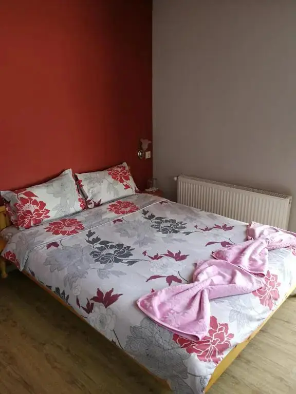 Сапарева баня: Medi Guest House