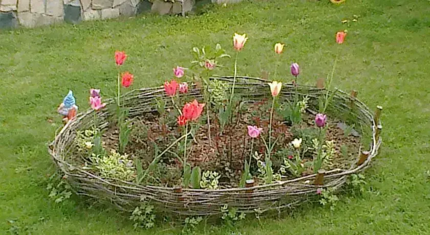 Сапарева баня: Medi Guest House
