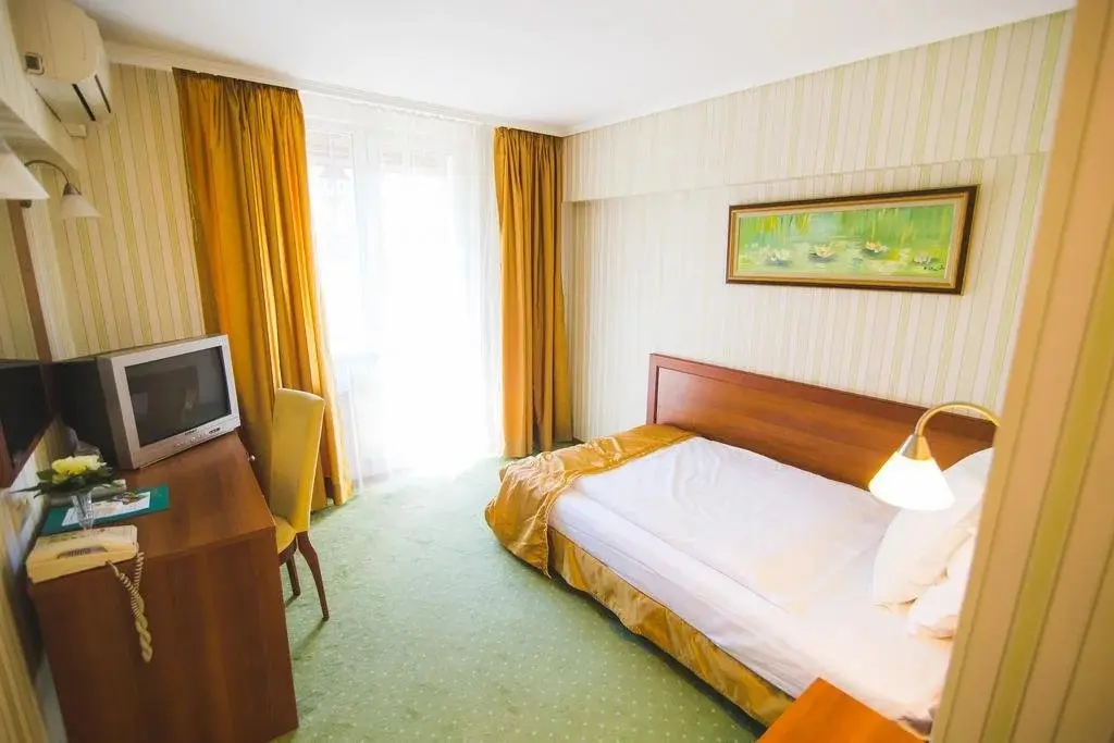 Пирдоп: SPA Hotel Borova Gora
