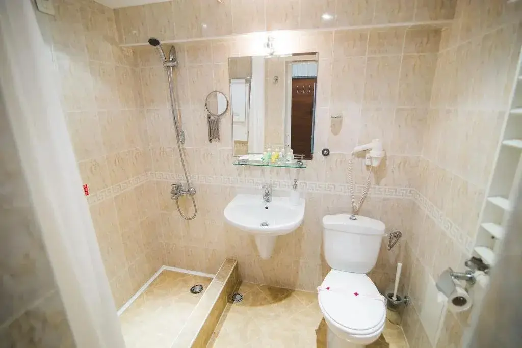 Пирдоп: SPA Hotel Borova Gora