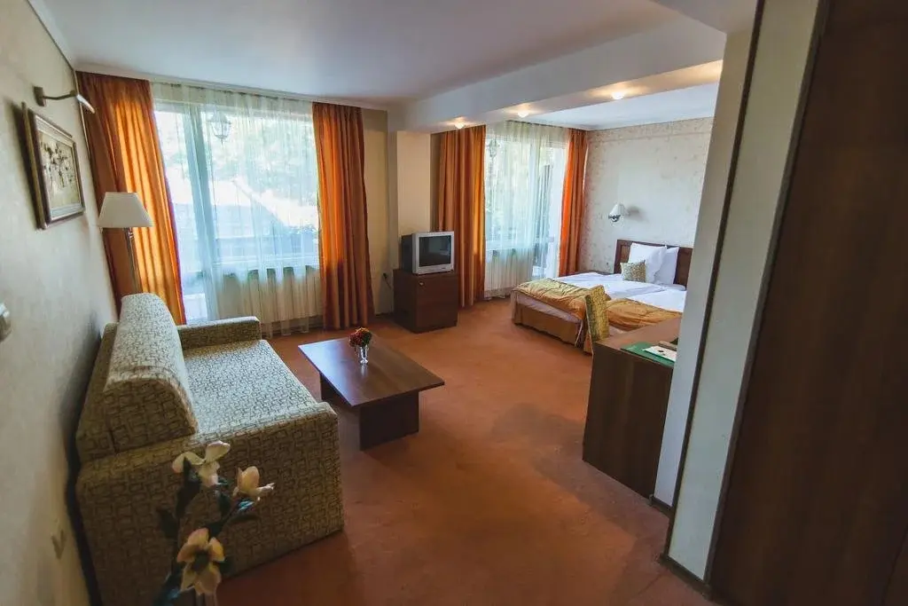 Пирдоп: SPA Hotel Borova Gora