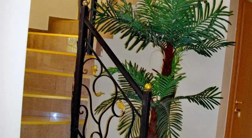 Несебр: Guest House Viena