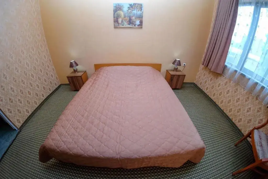 Хасково: Rodopi Hotel