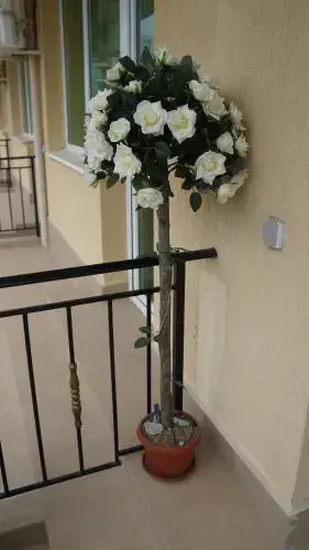 Свети Влас: Dom-El Real Apartments in Sea View Complex