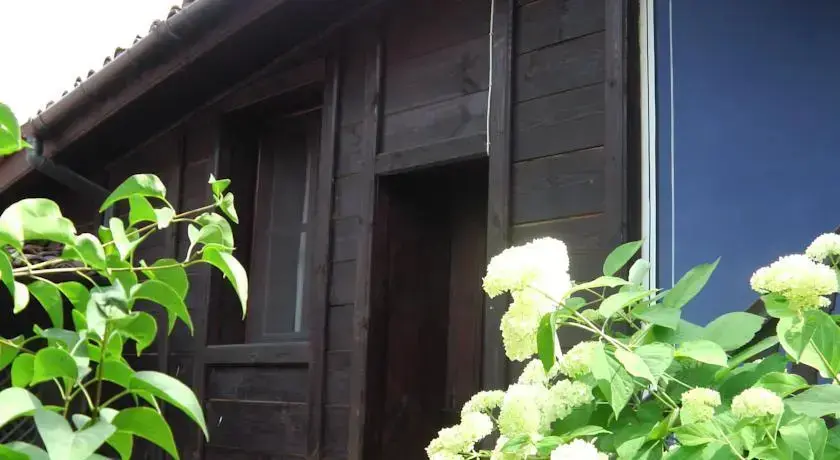 Копривштица: Darina Bed & Breakfast
