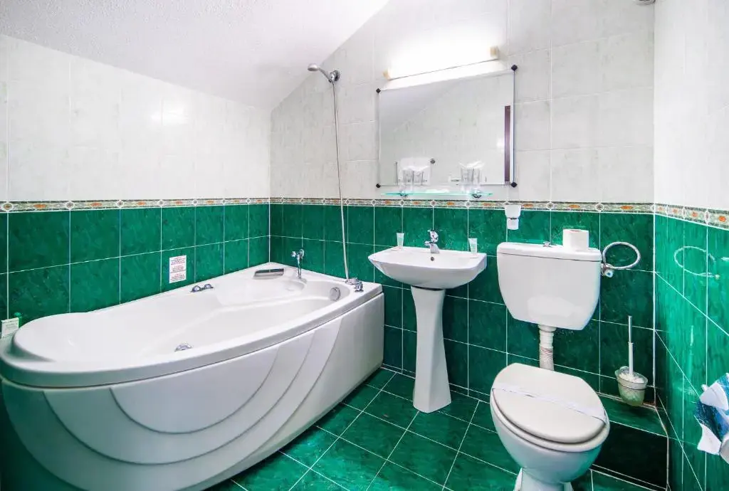 Долна баня: Dolna Bania Hotel
