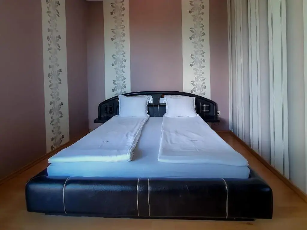 Долна баня: Dolna Bania Hotel