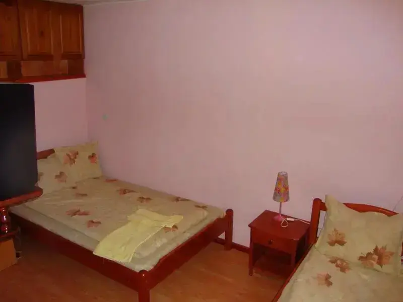 Велинград: Velingrad Guest House