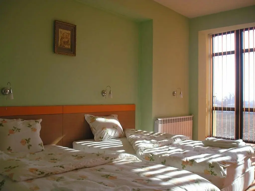 Гоце Делцев: Hotel Valentino