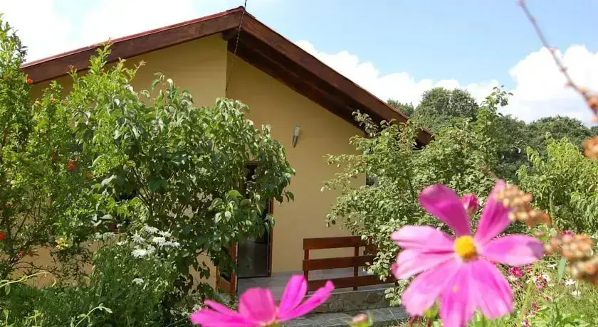 Синеморец: Casa Verde Villa