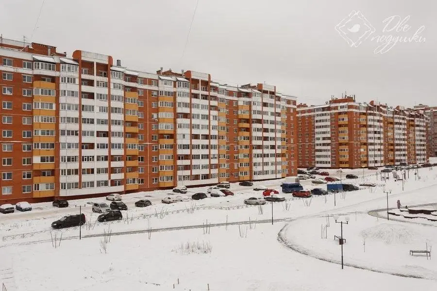 Вологда: Две Подушки на улице Развития