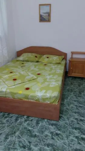 Ilieva guest house — фото 1