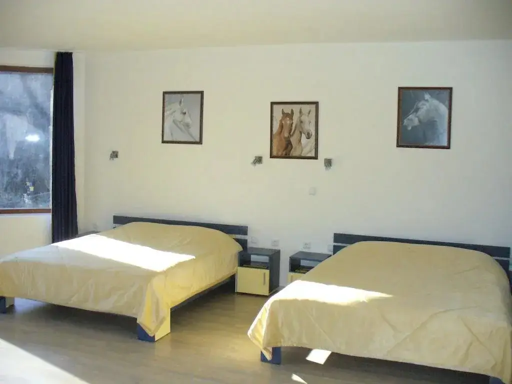 Троян: Guest House Alfa Daniel