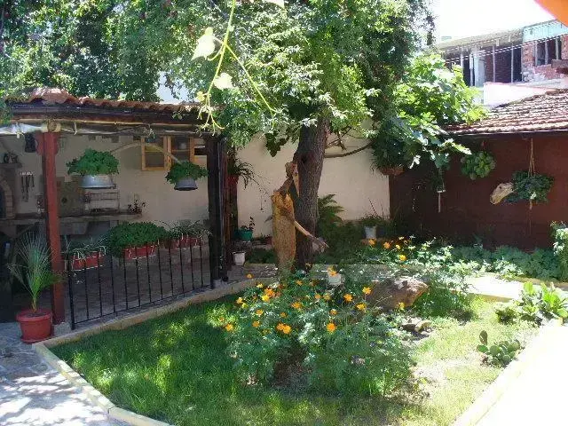 Черноморец: Guest House Alex