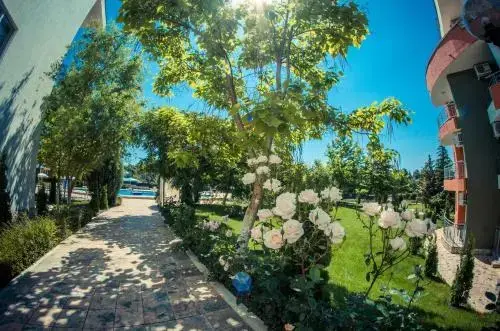 Солнечный берег: GT Green Fort Beach Apartments