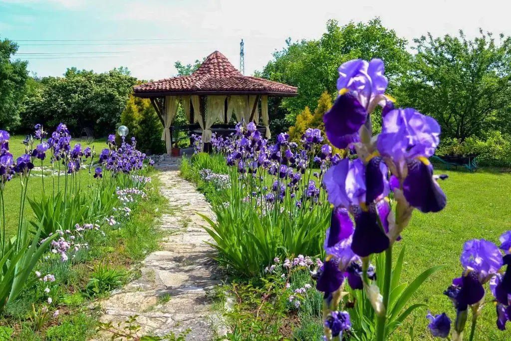 Горна-Оряховица: Park Hotel Djevana