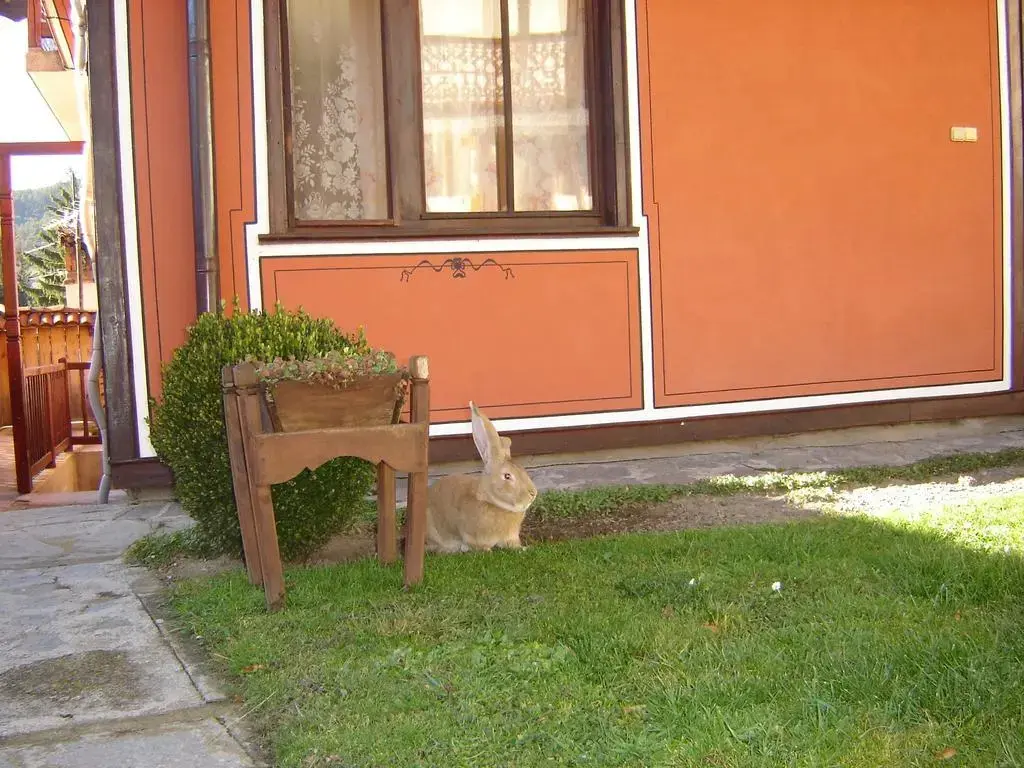 Копривштица: Dona Guest House