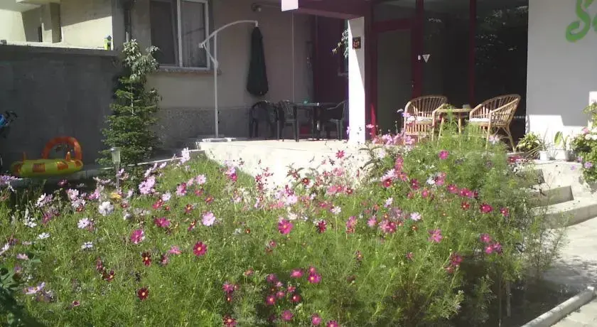 Черноморец: Stedy Guest House