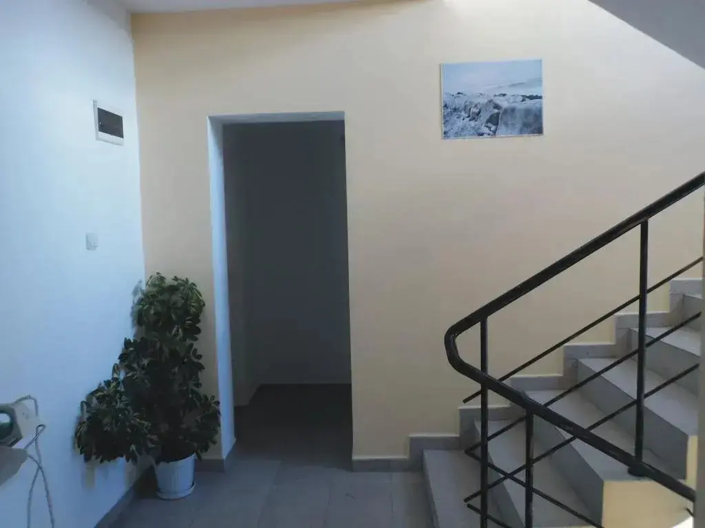 Приморско: Guest House Chifchibashievi