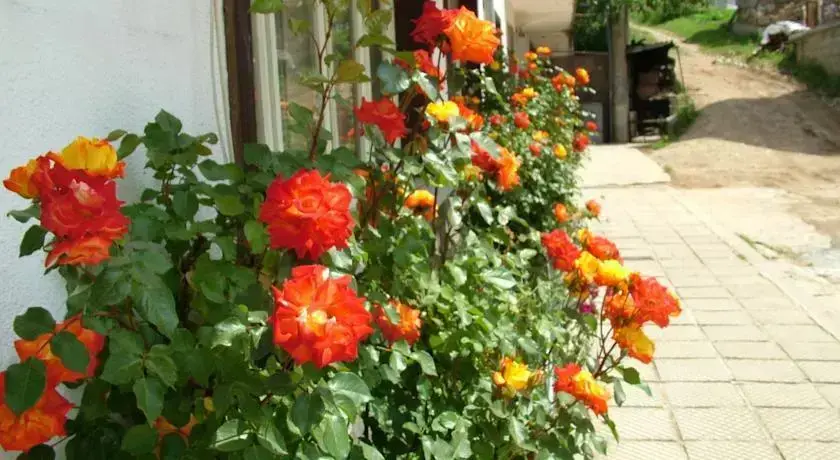 Чепеларе: Guest House Dangulevi