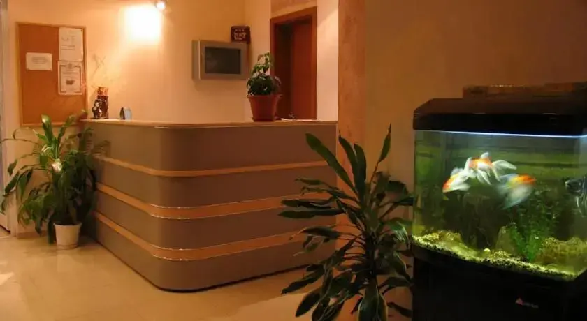 Черноморец: Vromos Guest House