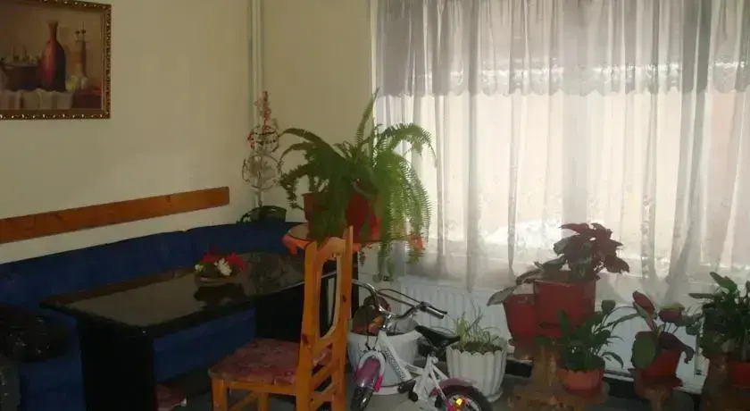 Велинград: Hotel Detelina