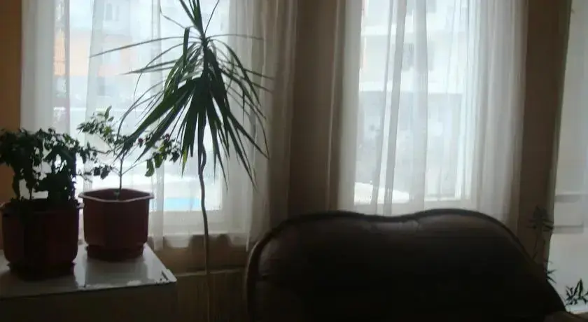 Велинград: Hotel Detelina
