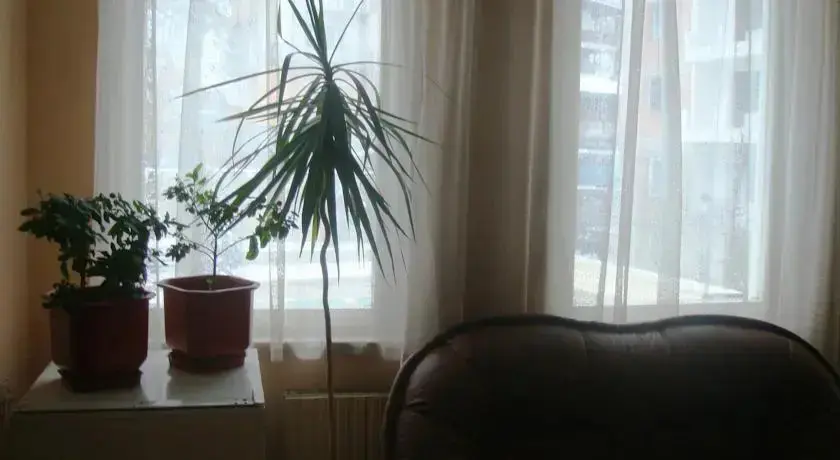 Велинград: Hotel Detelina