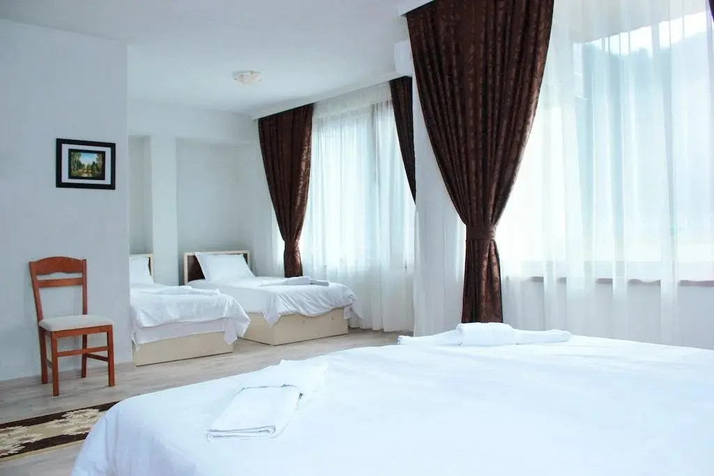 Ардино: Family Hotel Aleks