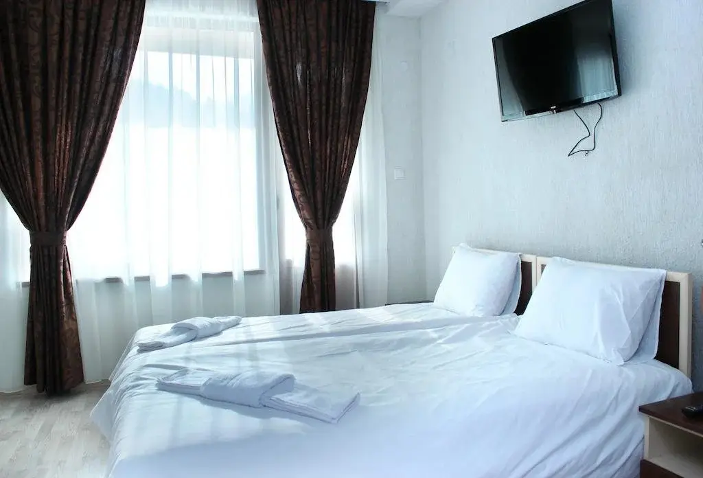 Ардино: Family Hotel Aleks