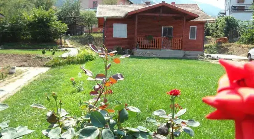 Сапарева баня: Tarpovi Guest House