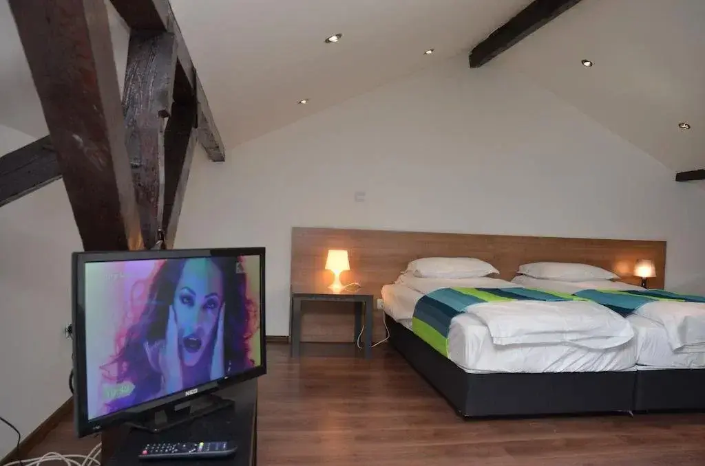 Велико Тырново: Lion Guest House