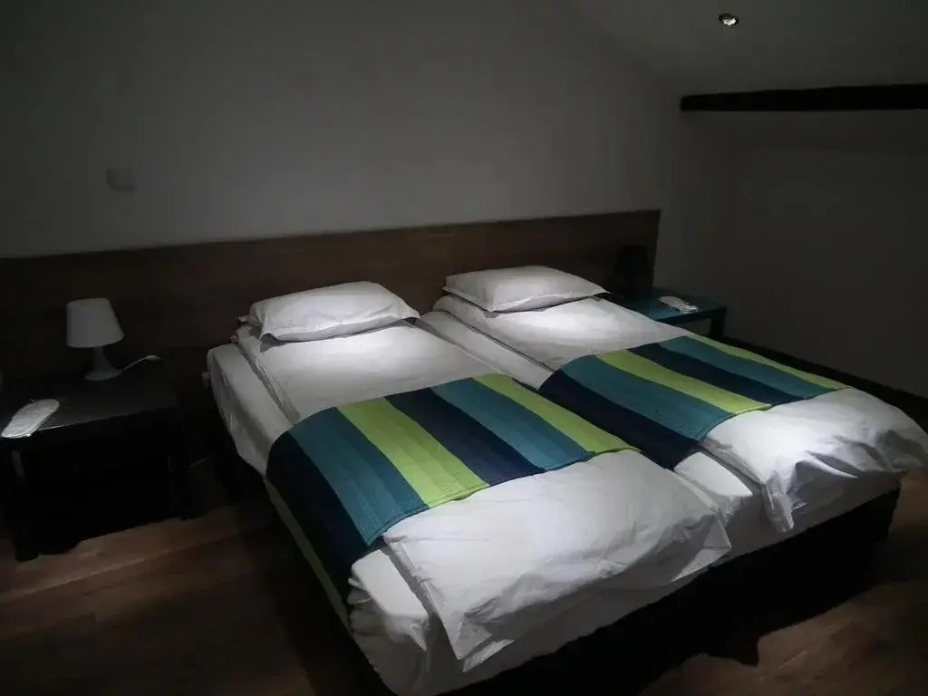 Велико Тырново: Lion Guest House