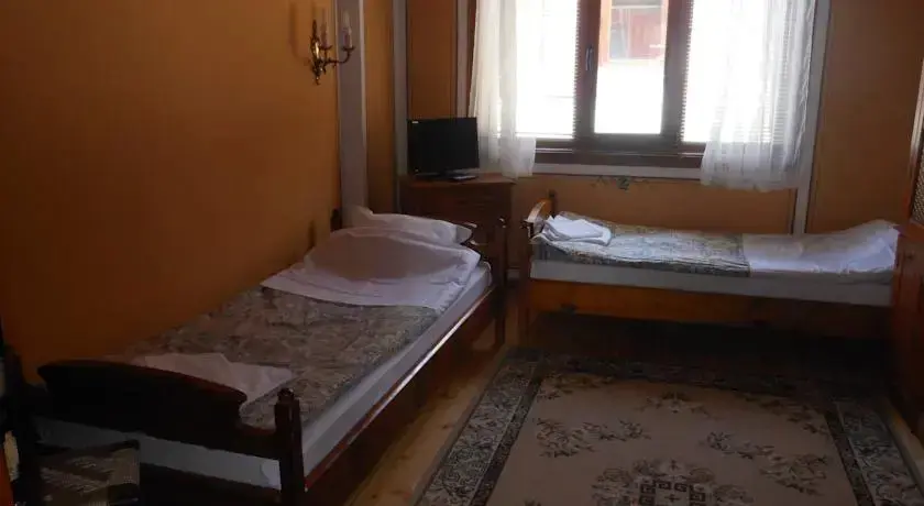 Копривштица: Family Hotel Kalina