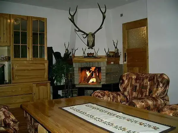 Девин: Guest House Orletz
