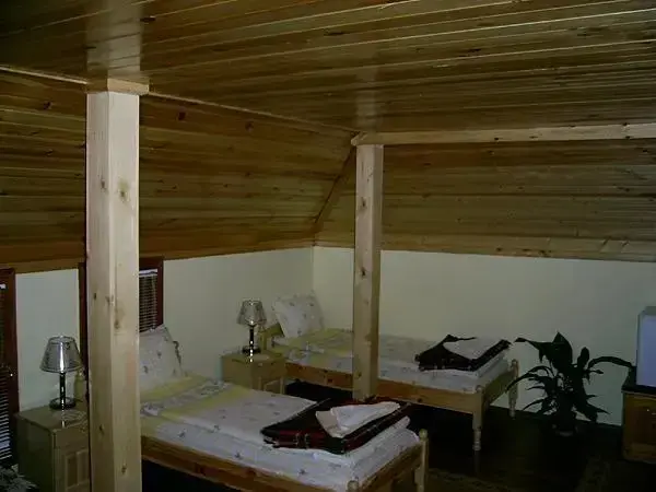 Девин: Guest House Orletz