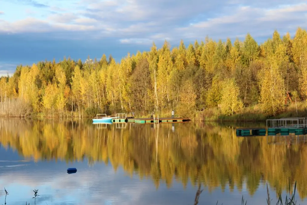 Трудовая: Спас-Каменка