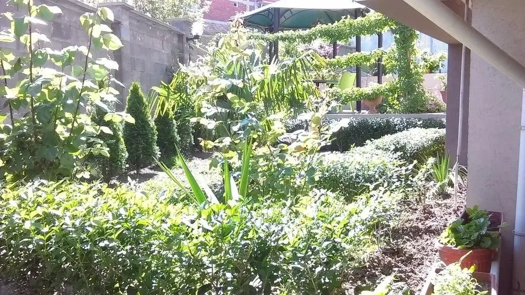Созополь: Venis Hotel