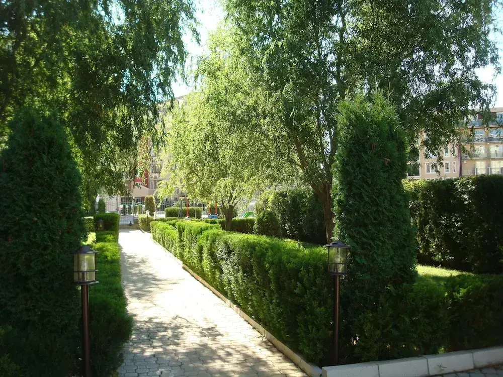 Солнечный берег: Saint Elena Apartcomplex