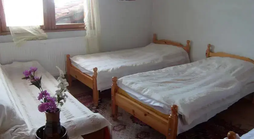 Копривштица: Guest House Anna Dancheva